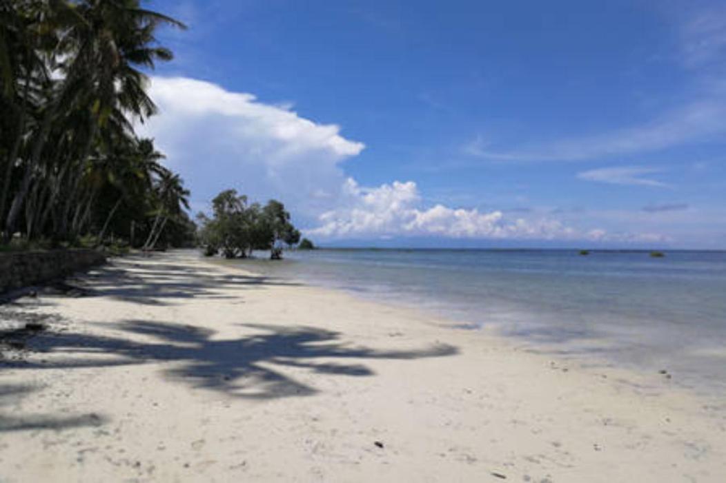 Bamboo Nest Beachfront Puerto Princesa Εξωτερικό φωτογραφία